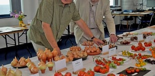 Town flower show celebrates 90th event